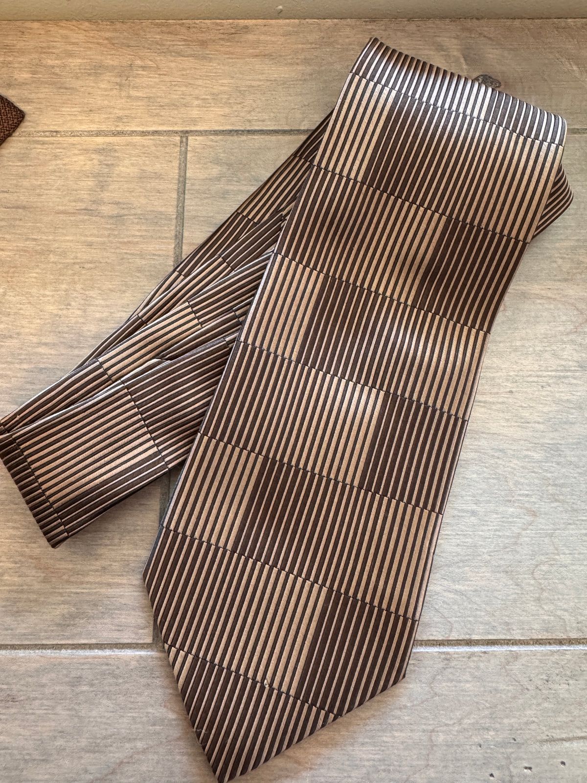 Striking! Renzo Men's 100% Silk Tie