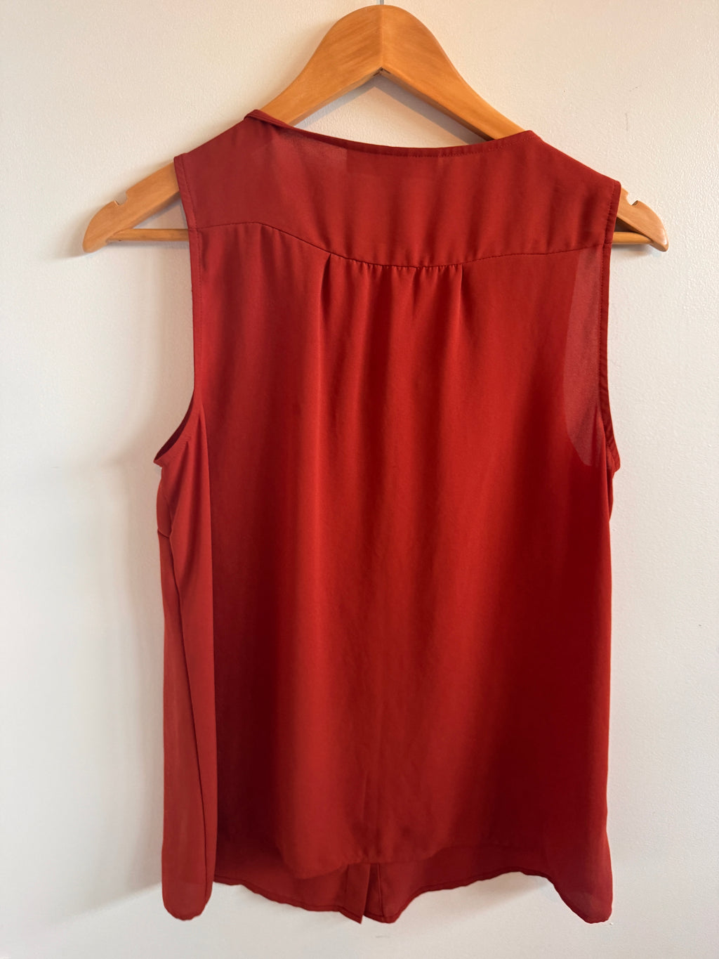 Rust sleeveless top on a wooden hanger against a white background