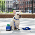 kate spade Dog Walking Set