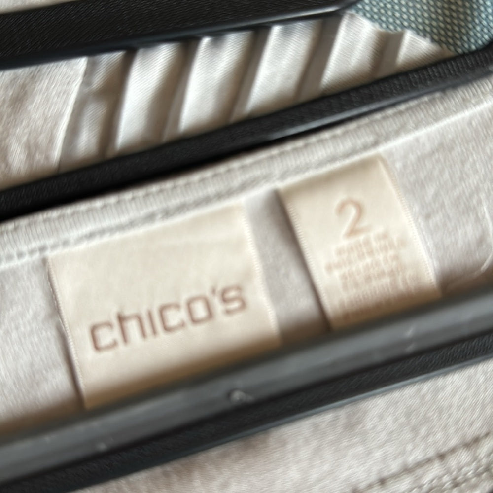 Pleats!  Cute pleat back top by Chico’s - Sz 2