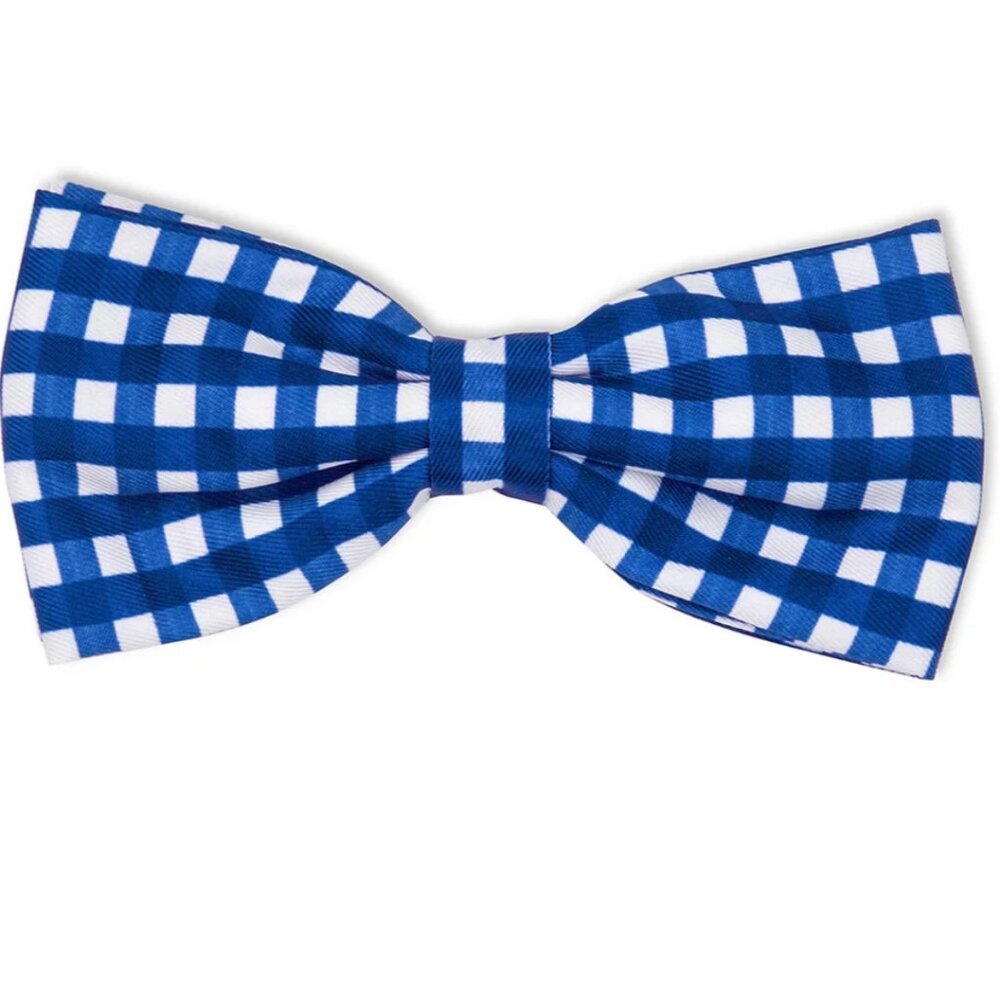 Woof!  kate spade Dog Walking Set - NWT