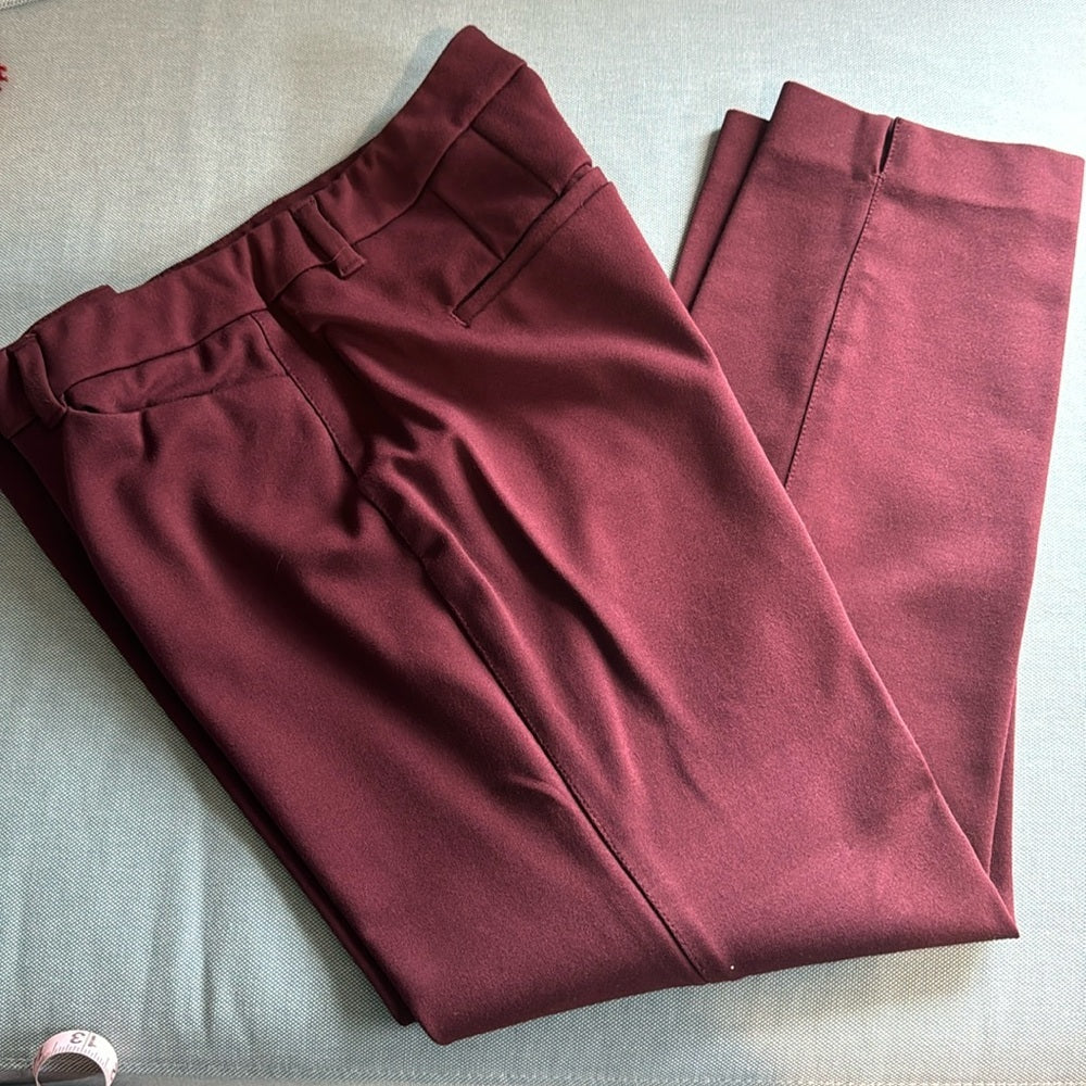 Fall!  Slim ankle WHBM pants - EUC