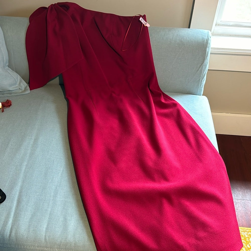Party!  Dress the Population Tiffany Garnet Dress - Size M (6-8)