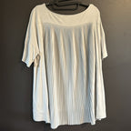 Pleats!  Cute pleat back top by Chico’s - Sz 2
